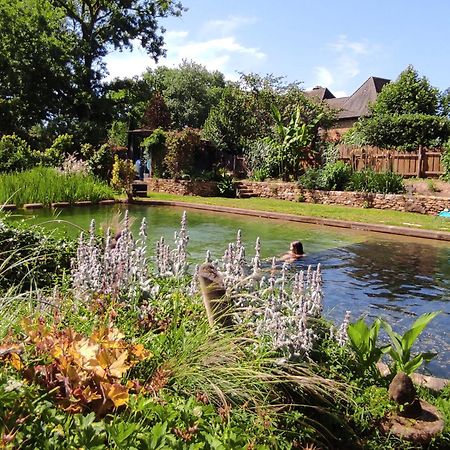 Maison De Charme, Piscine Naturelle Dordogne Perigord Prats-du-Périgord Dış mekan fotoğraf