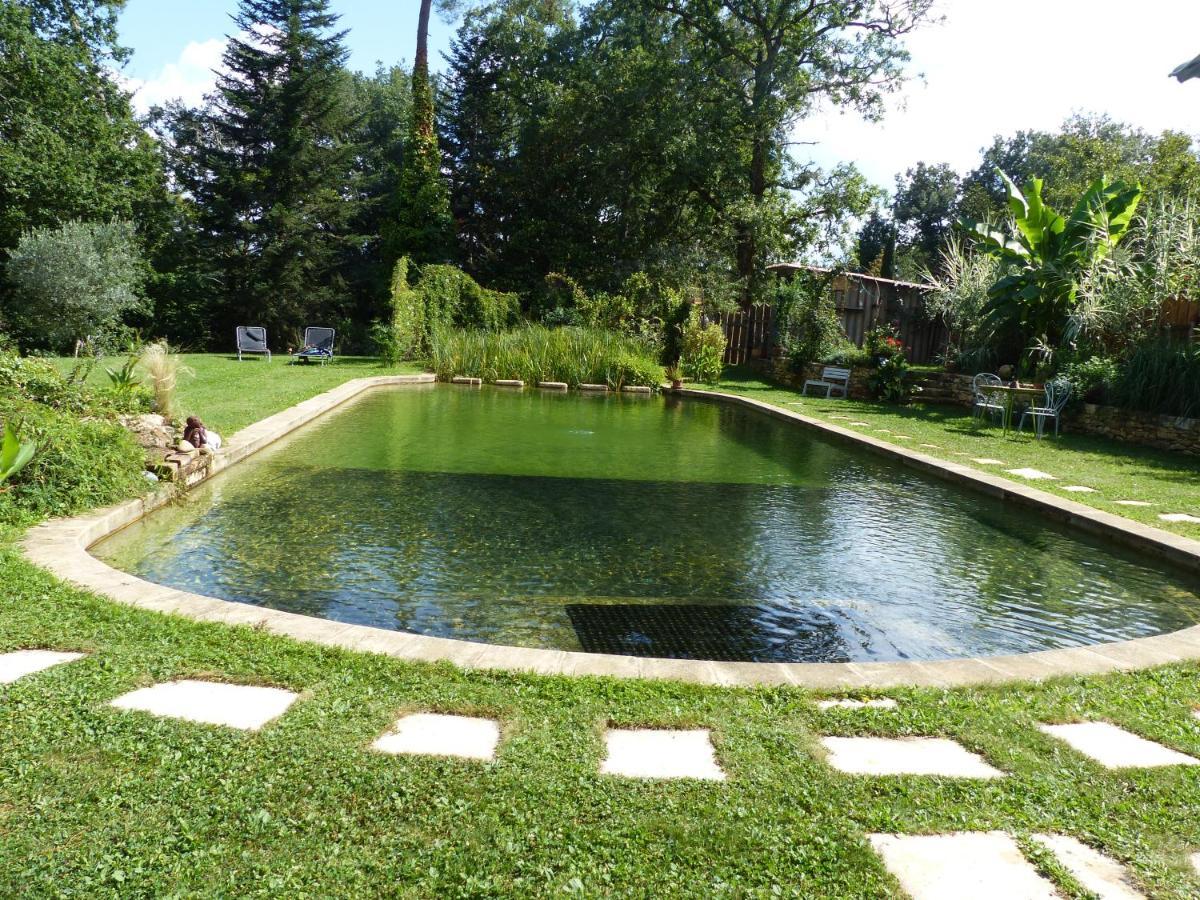Maison De Charme, Piscine Naturelle Dordogne Perigord Prats-du-Périgord Dış mekan fotoğraf